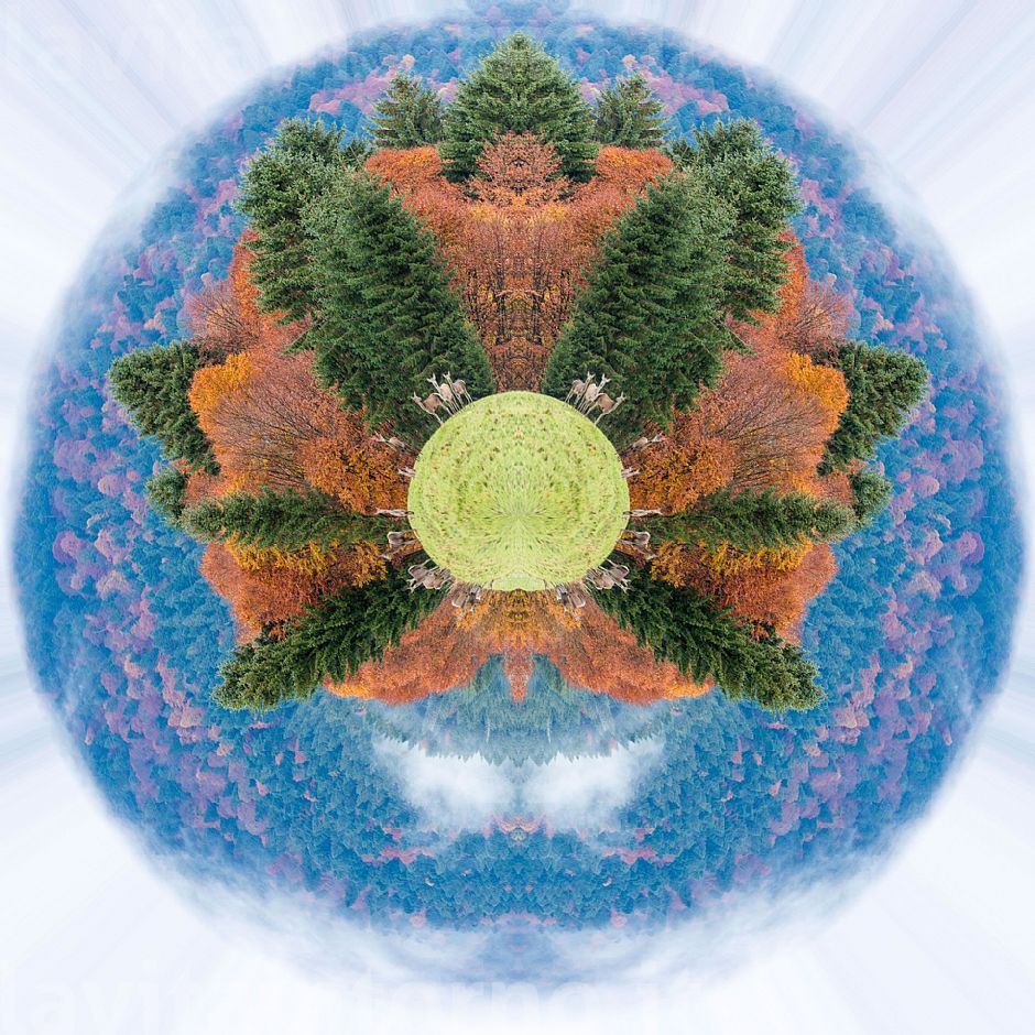 looking for a alternative brain #2