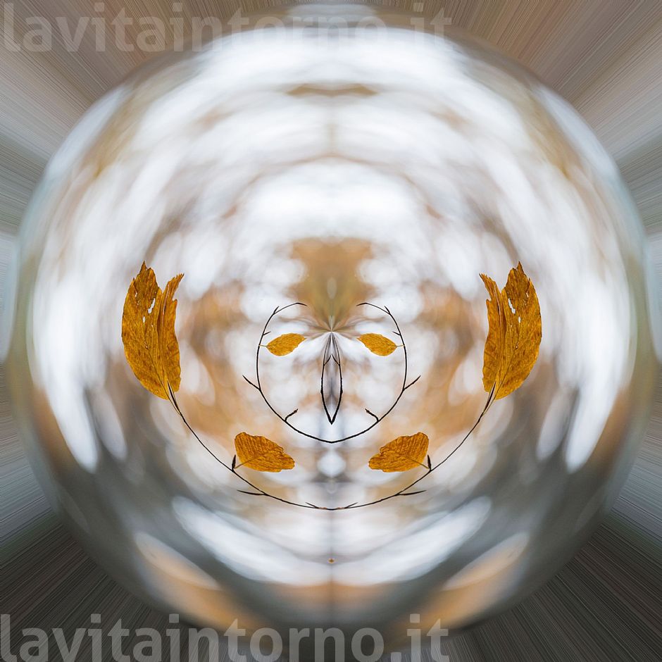 looking for a alternative brain #4