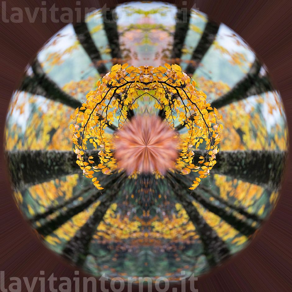 looking for a alternative brain #5
