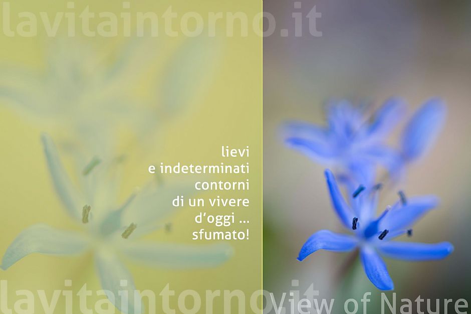 imagine a painted spring #2