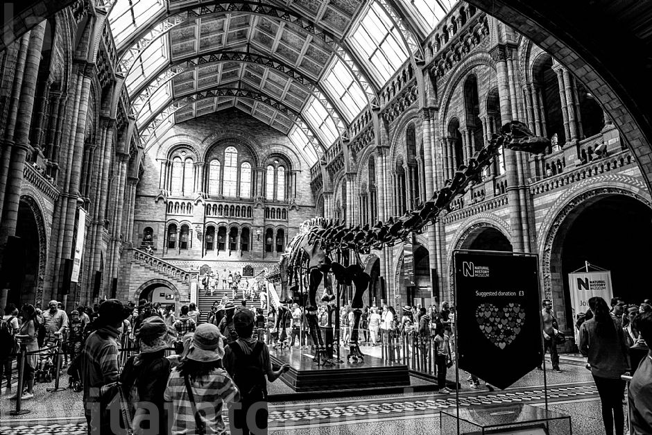 London - National History Museum