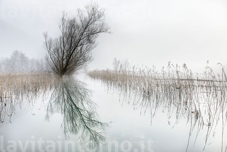 a lake like a mirror