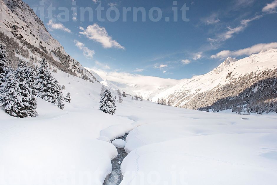 an almost infinite white