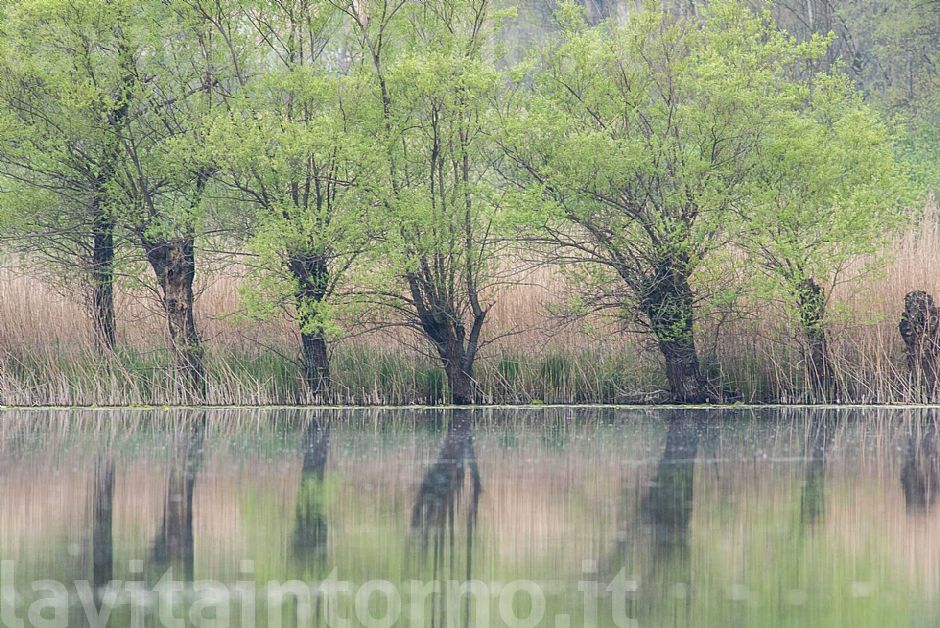 reflective lake #3