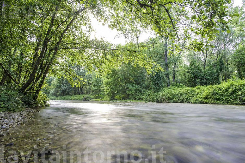 return to the White Fountains