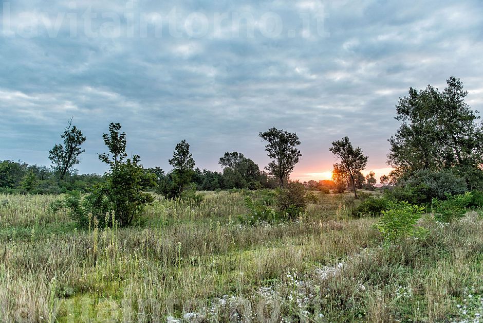 along the Piave river