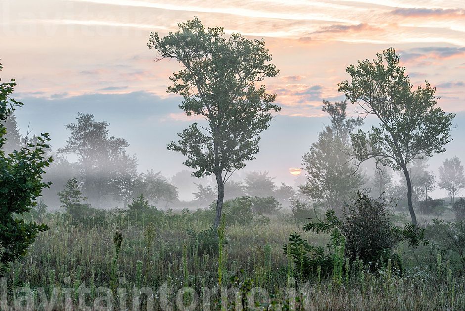 along the Piave river #2
