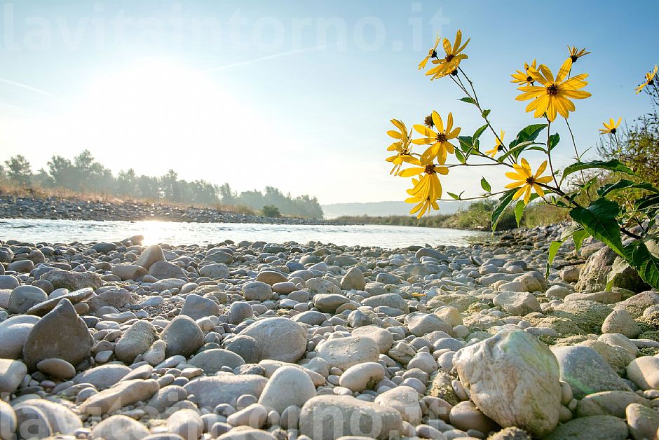 along the Piave river #3