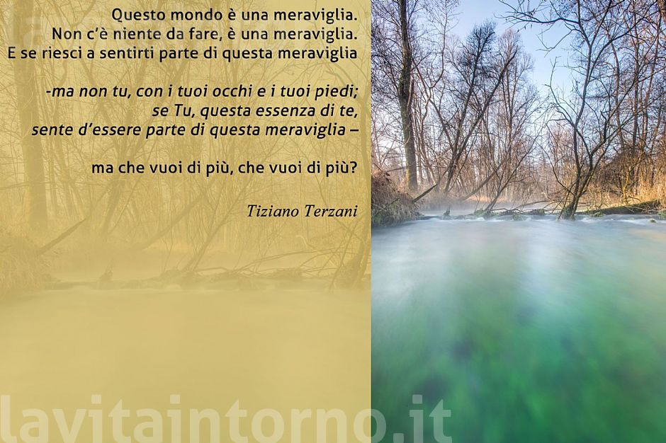 movements @ White Fountains