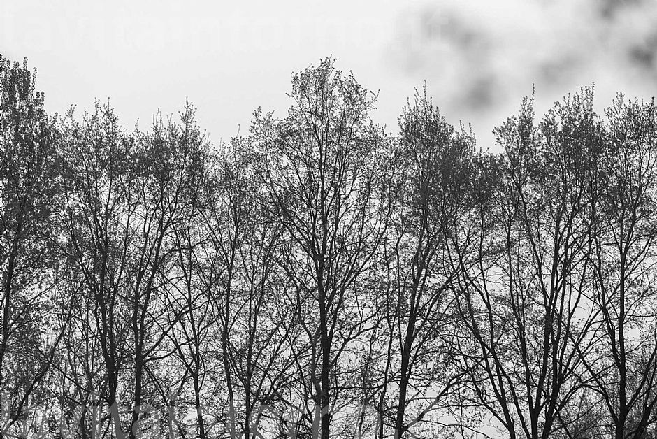 it starts all over again