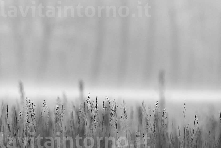 it starts all over again #2