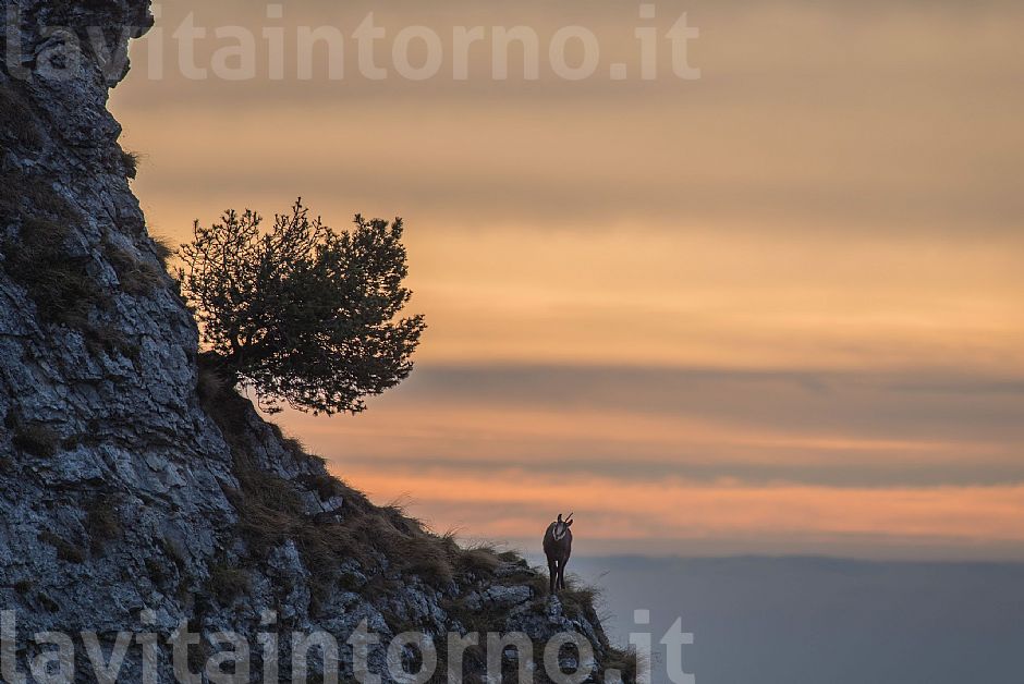 waiting the new year