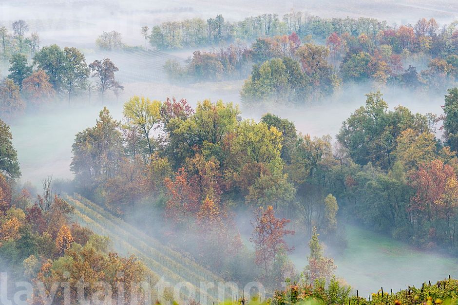 autumn back @ pal�