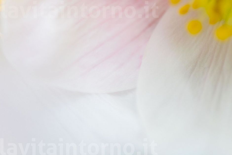 have an year full of tenderness