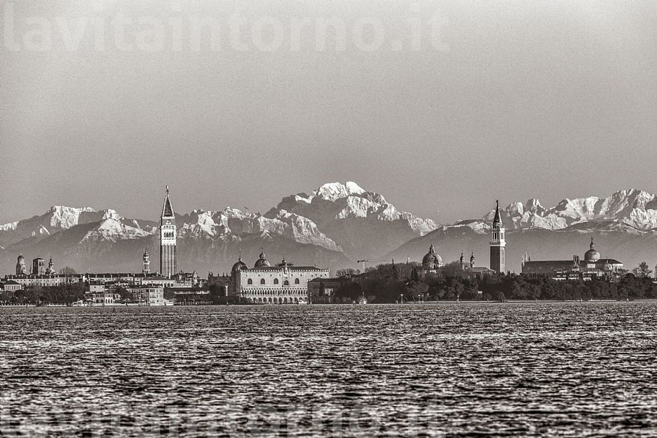 Venice experience: the bell towers and the owl
