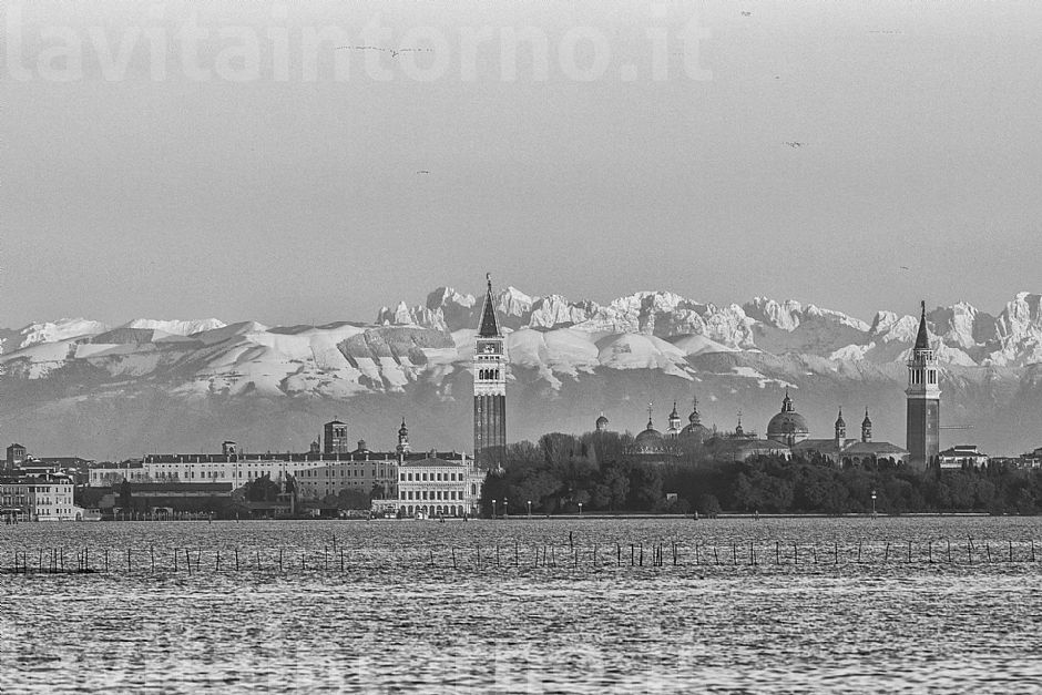 Venice experience: bell towers and the hippo :)