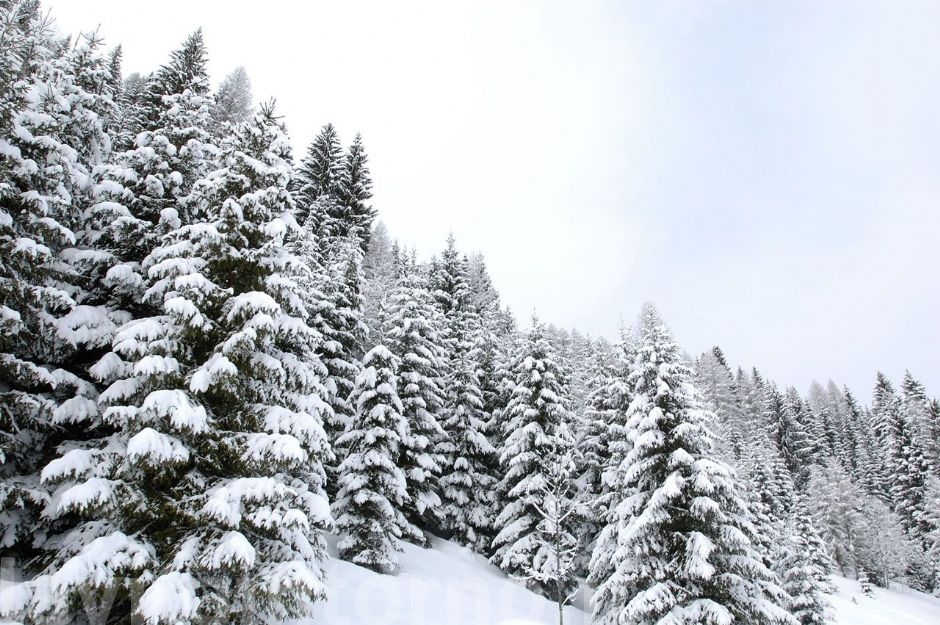 Bianco, acqua ... #2