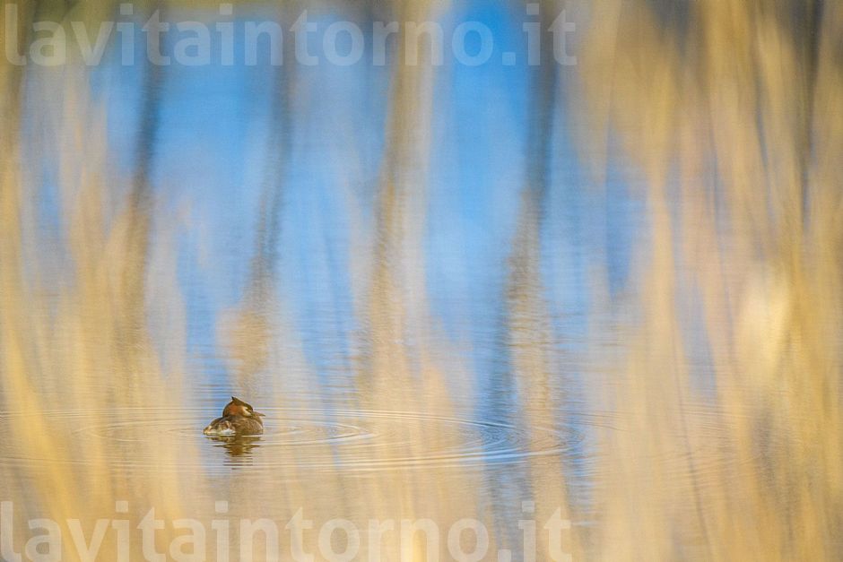 La primavera nel cuore (2021#1)