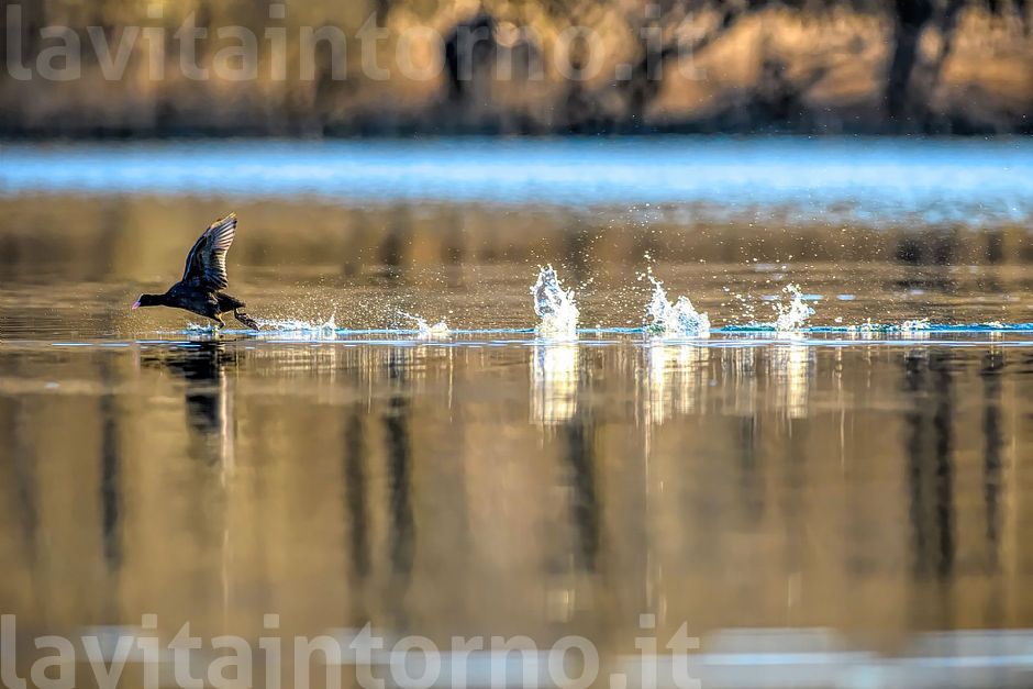 La primavera nel cuore (2021#2)