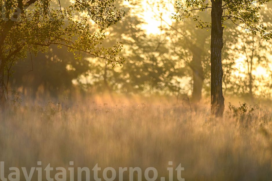 impressioni di settembre