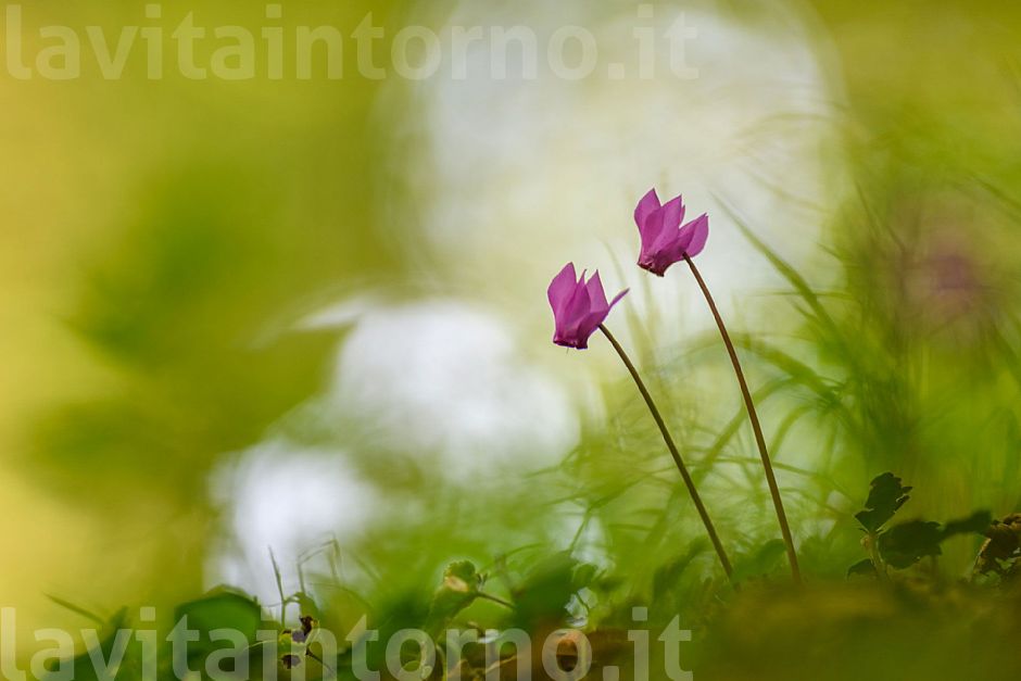 impressioni di settembre #2