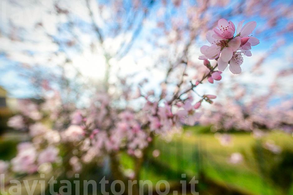 le meraviglie, quelle semplici! #2