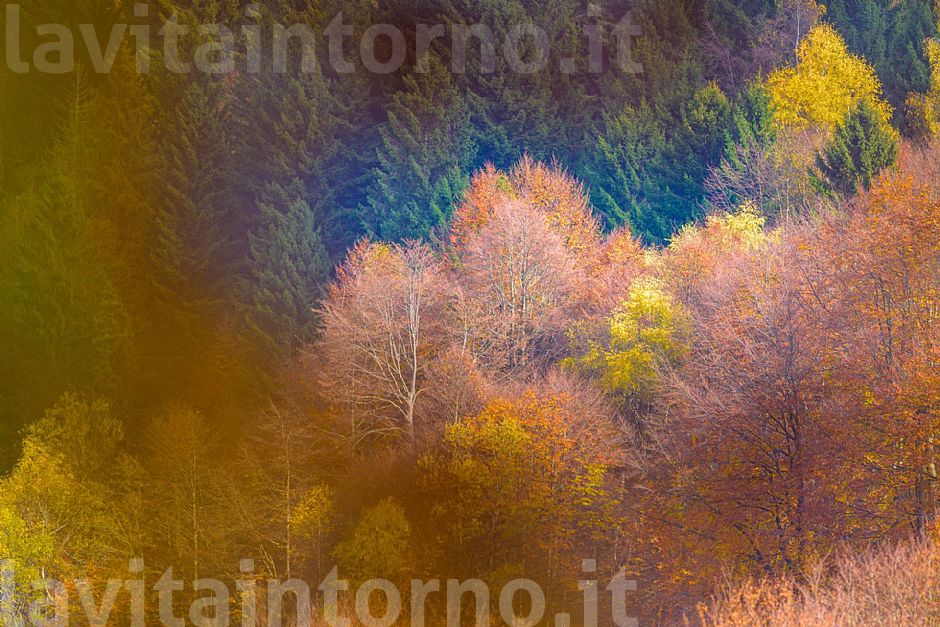 Le meraviglie che non fanno rumore #1