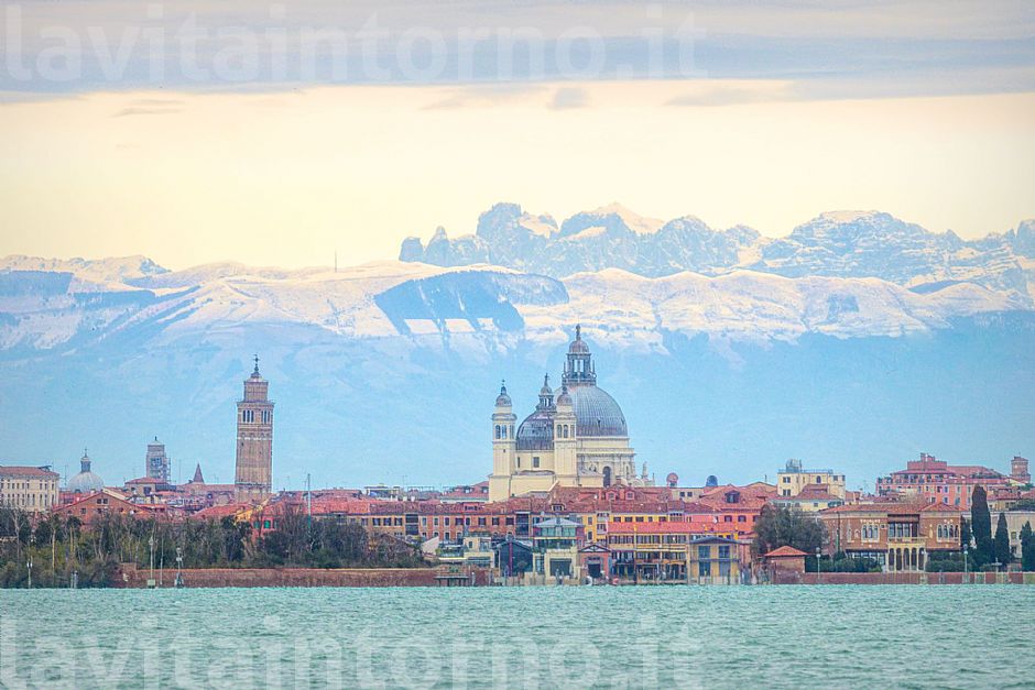 L'ippopotamo  in Salute! ;)