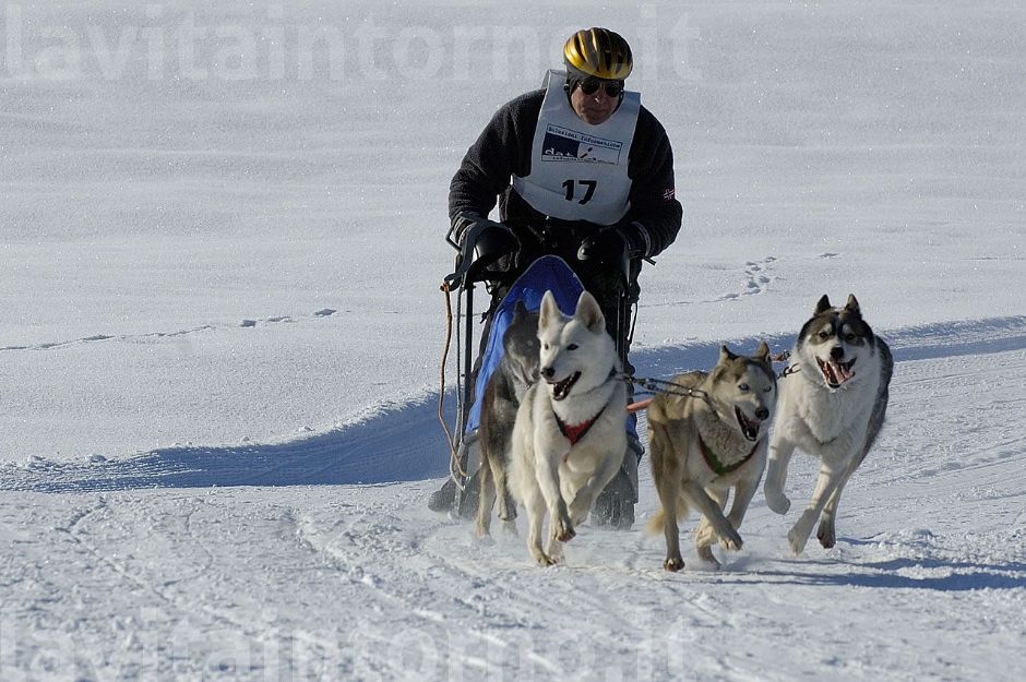 in corsa per amicizia