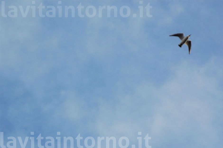 sembra un dipinto ... ma no!