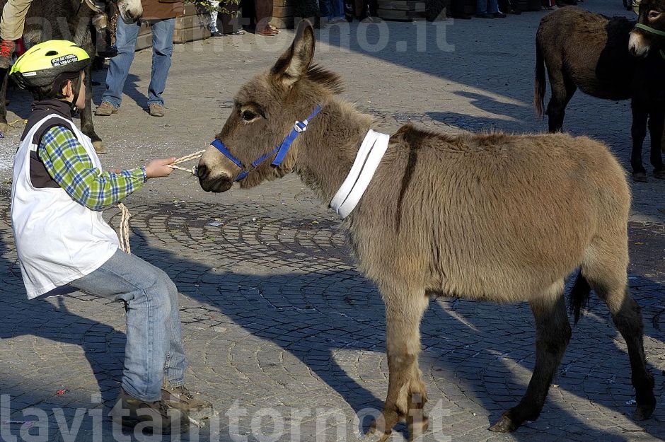 Renitenza ...e resistenza: una soluzione difficile