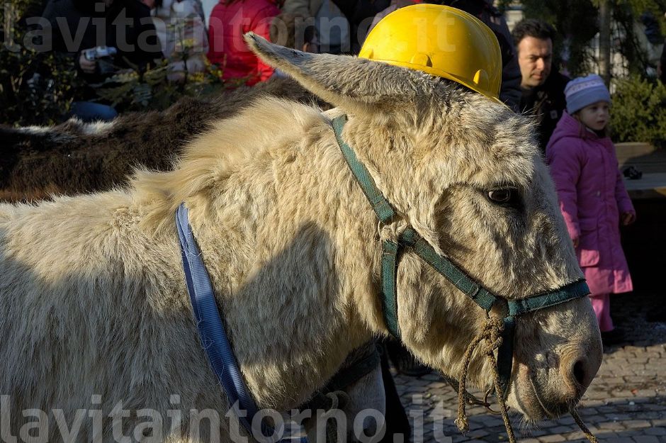 il simpatico ... vincitore