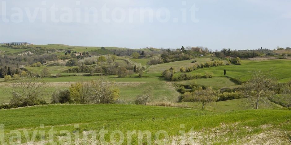 paesaggio toscano #2