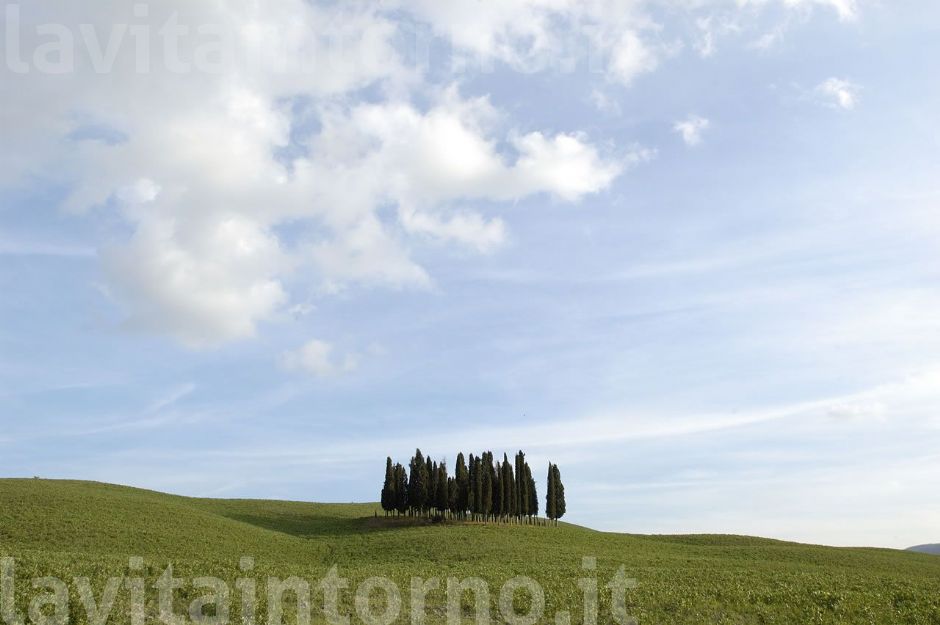 un classico toscano ...