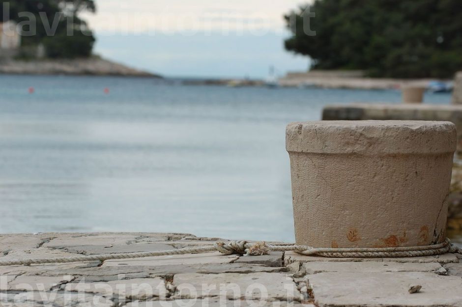 nel porticciolo ... #3