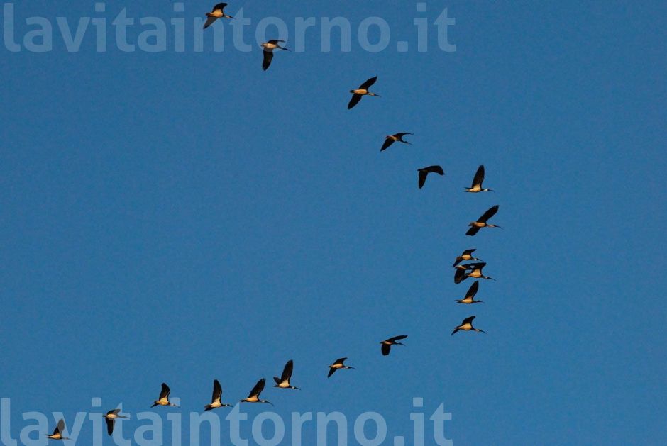 verso un appuntamento