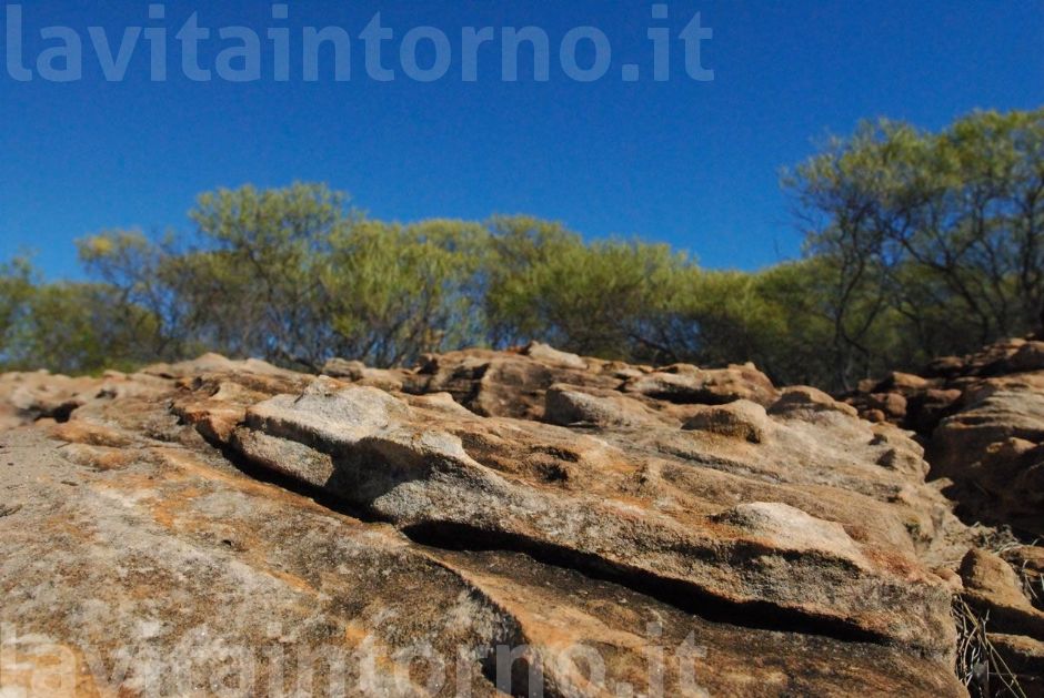 uno sguardo dal basso 