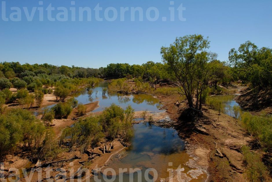 one strange winter (dry) #2