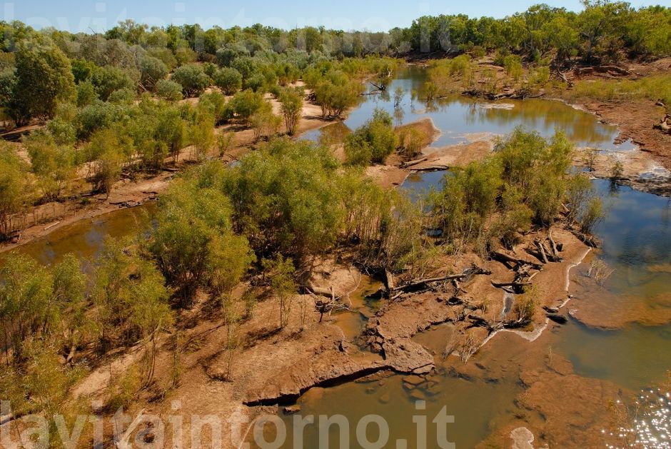 one strange winter (dry) #3