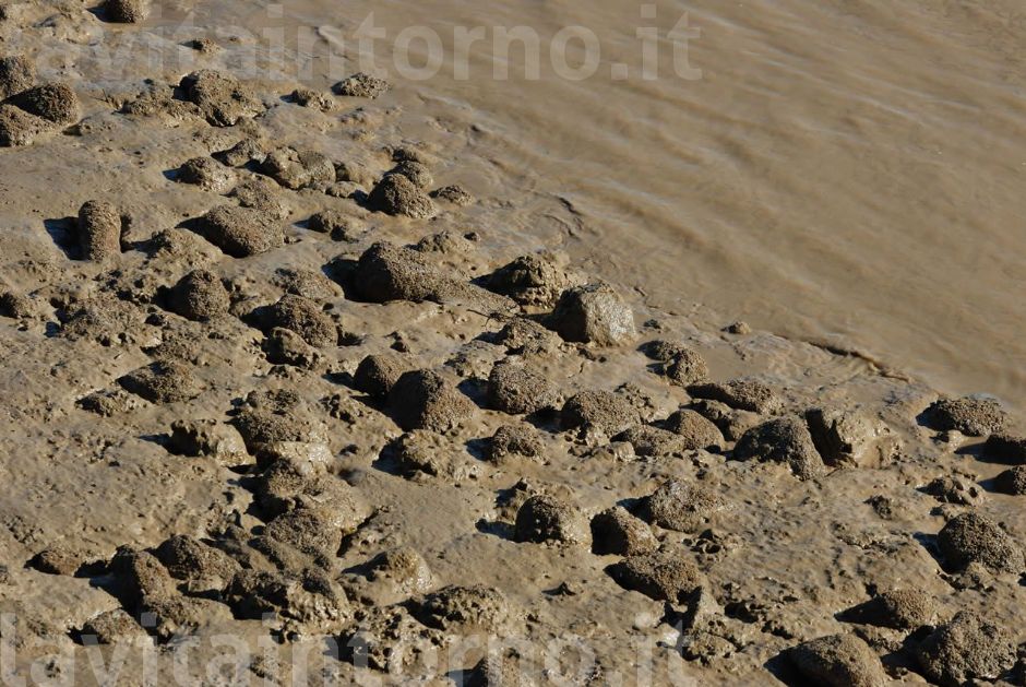 la marea si ritira #2