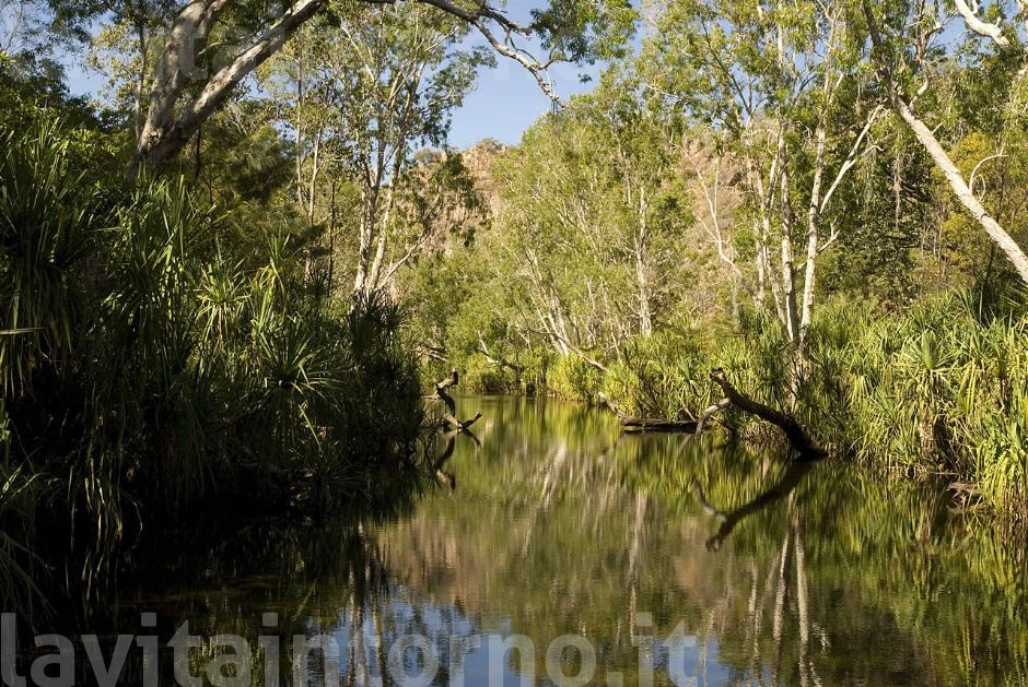 in the tropical zone (danger crocodile)