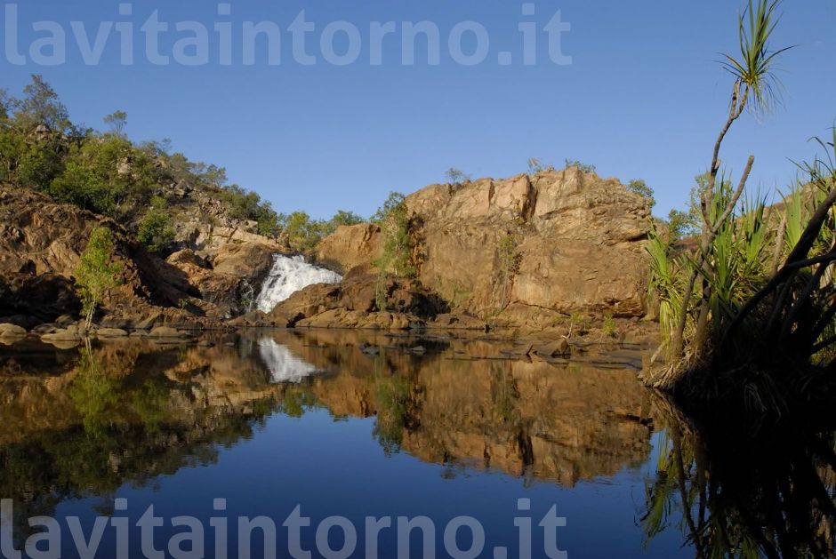 where the crocodile bit to me