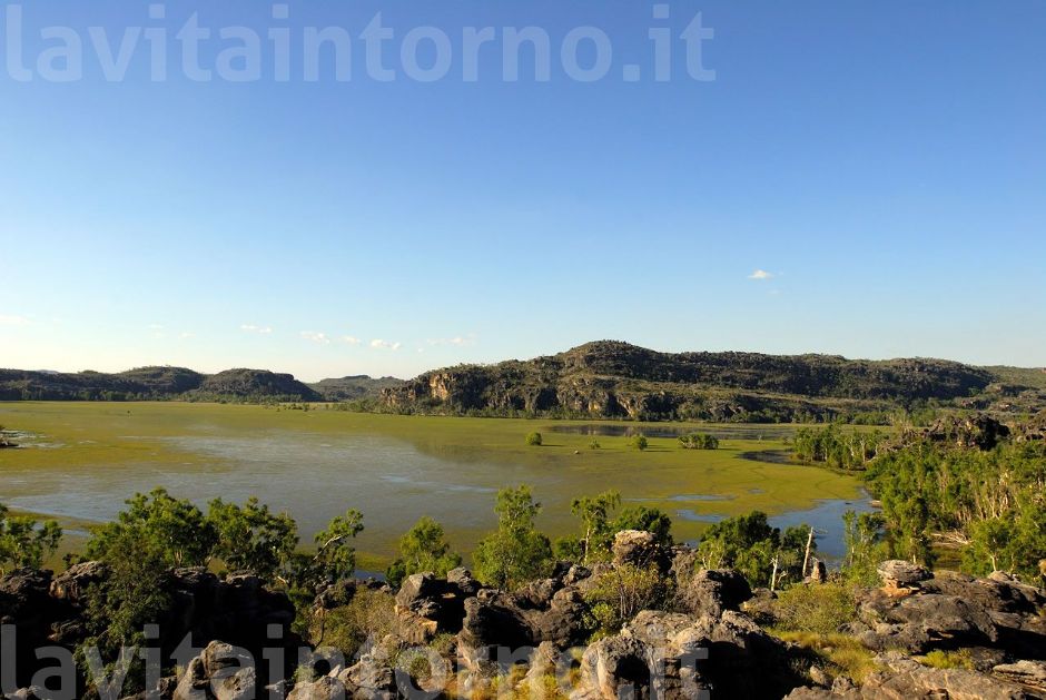 in the arnhem land #2