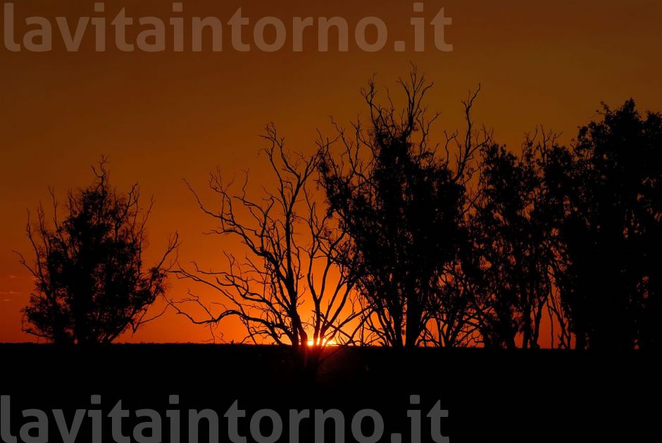 sunset @ billabong in the Kakadu National Park