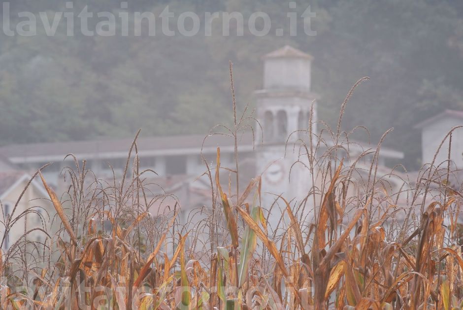 alzo gli occhi e ...