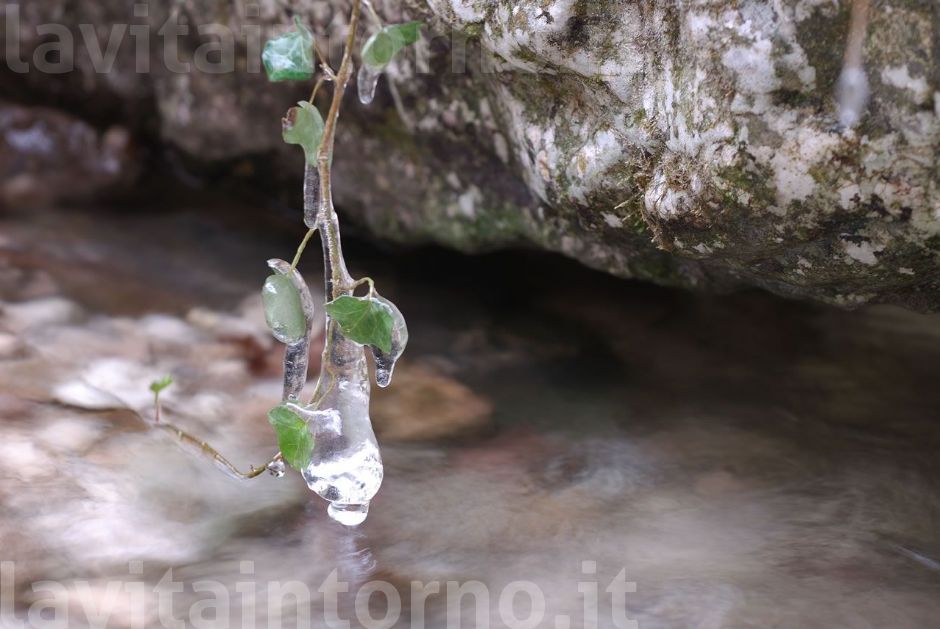 un serio impegno a resistere
