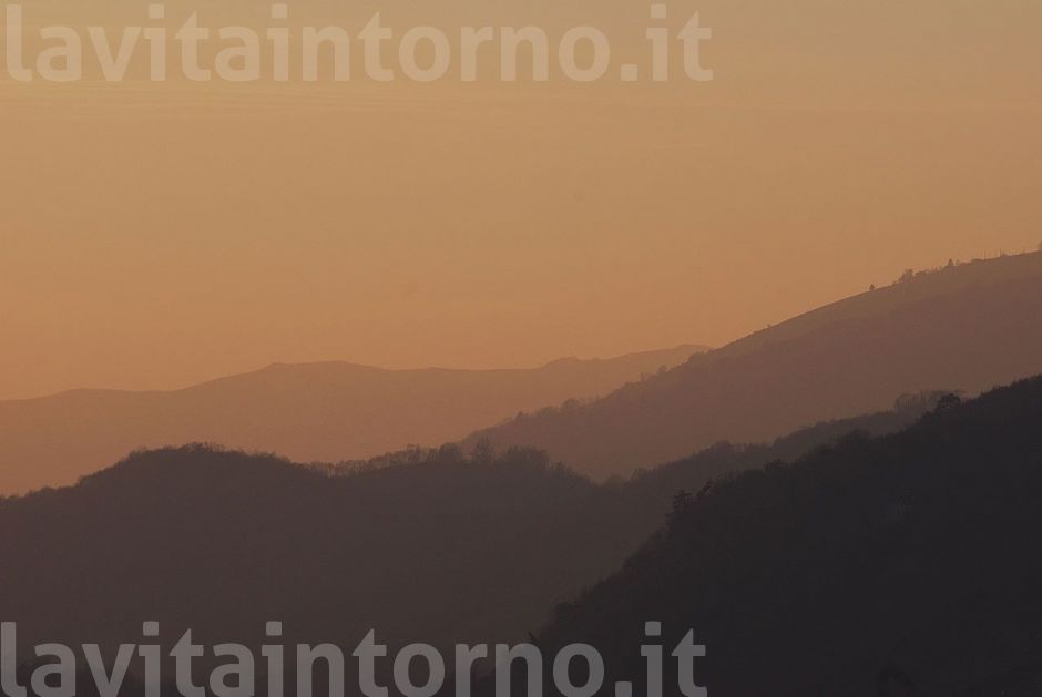 colline solighesi