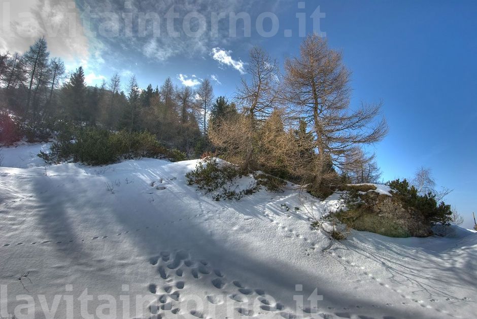 sul Grappa