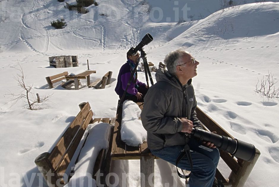 sul Grappa #3 ... punto di osservazione