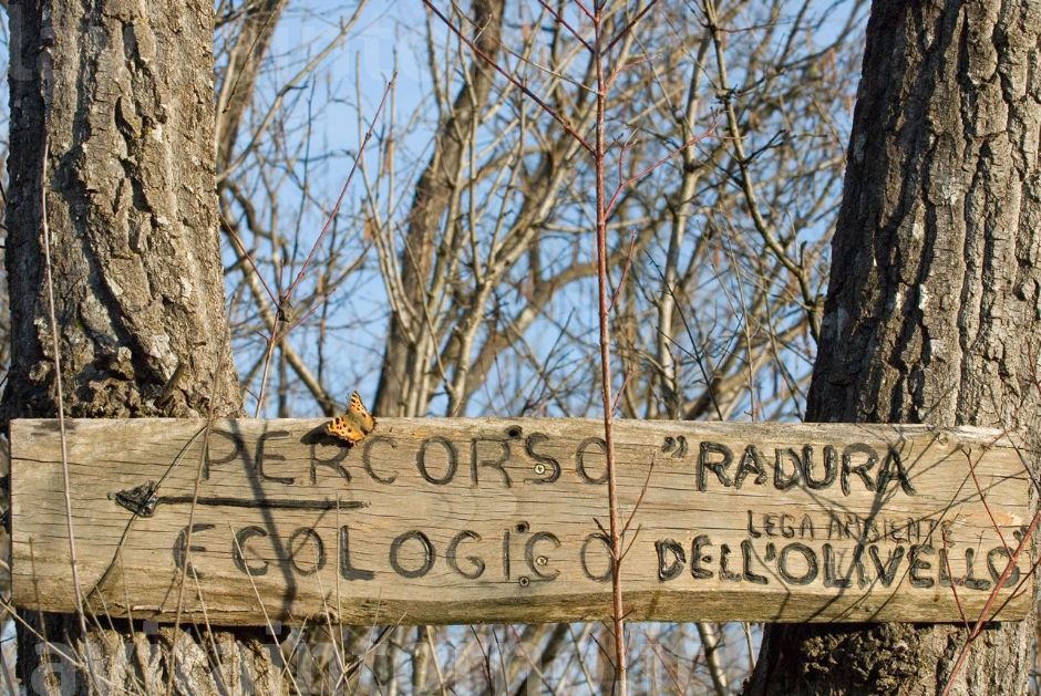 percorso ecologico